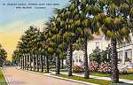 St. Charles Avenue and Vicinity Postcard