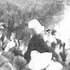 Old photo of Mardi Gras