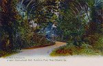 Audubon Park Postcard