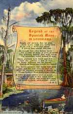 South Louisiana Postcard