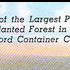 Largest Privately Owned Man-Planted Forest in America