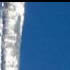 31 inch icicle